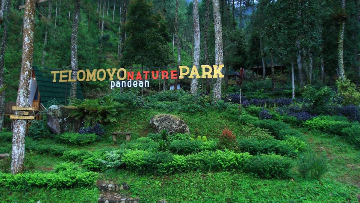 Telomoyo Nature Park: Destinasi Menakjubkan di Lereng Gunung Telomoyo